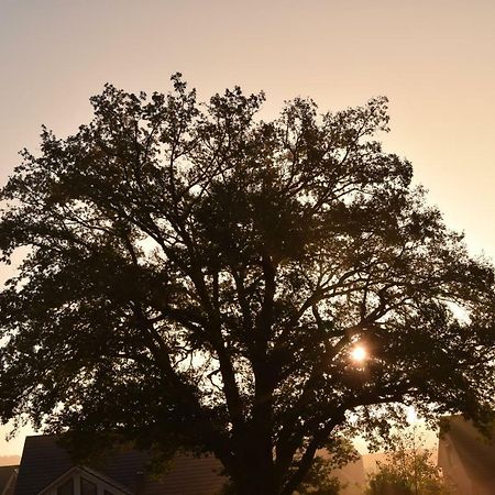 ホテル Ferien Hohes Elbufer Schnakenbek エクステリア 写真